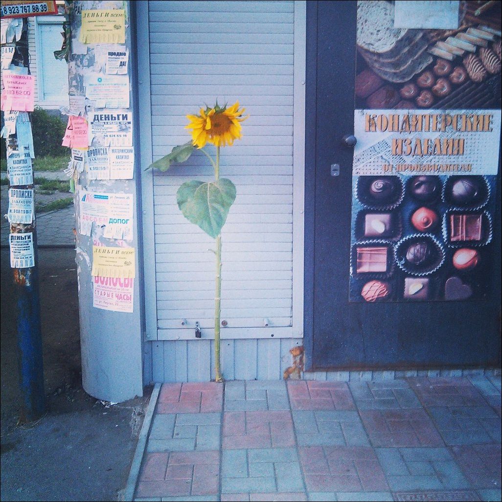 фото приколы