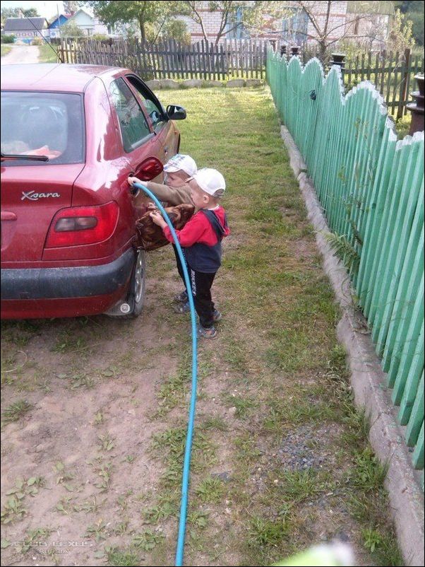 фото приколы