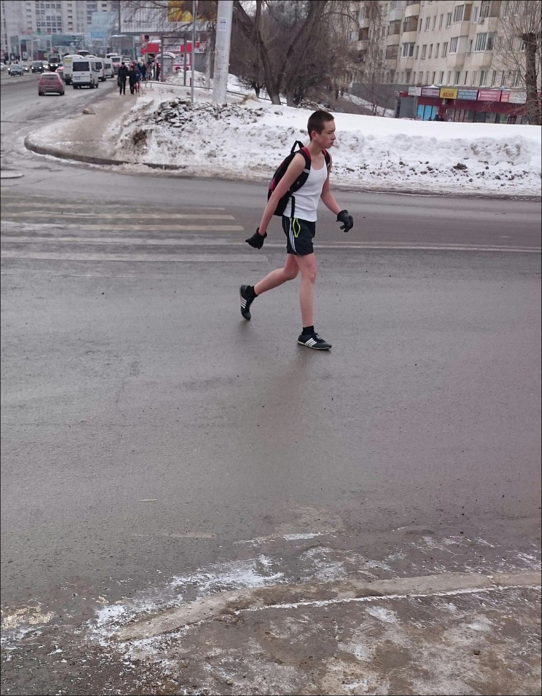 фото приколы