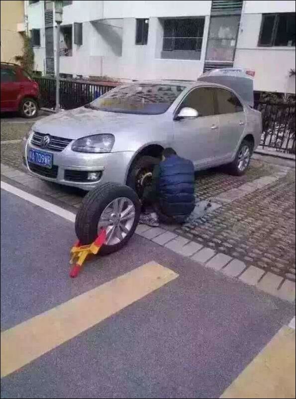 фото приколы