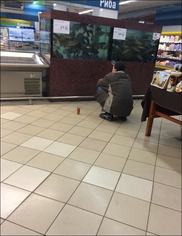 фото приколы