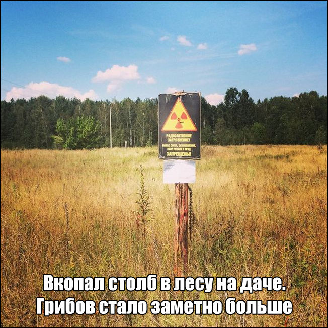 фото приколы