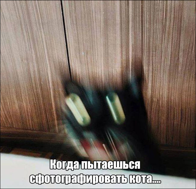 фото приколы