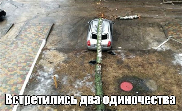 фото приколы