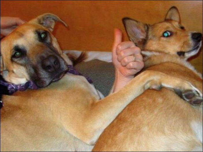 фото приколы