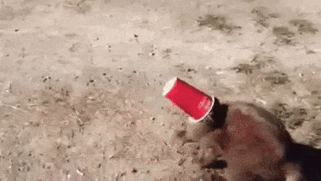 Прикольные гифки