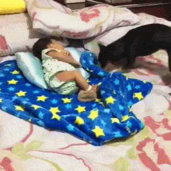 Прикольные гифки