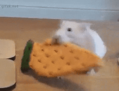 Прикольные гифки