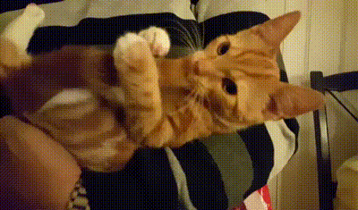 Прикольные гифки