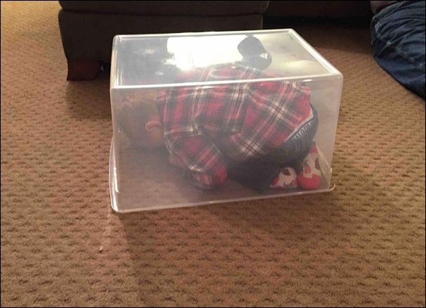 Дети играют в прятки