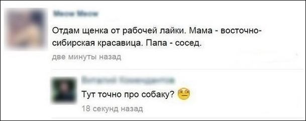 Смешные комментарии