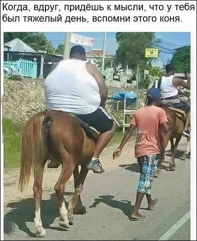 Смешные комментарии