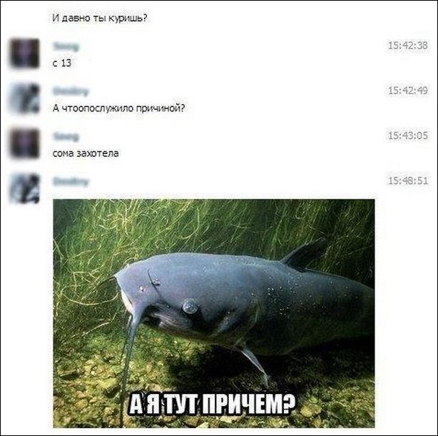 Смешные комментарии