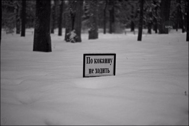 Смешные надписи и объявления