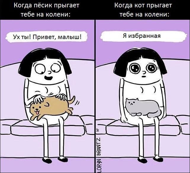 комиксы и карикатур