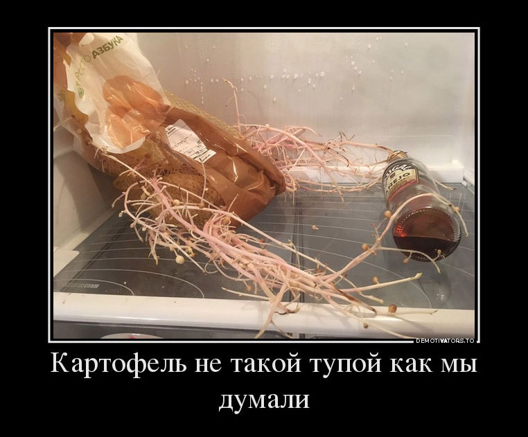 демотиваторы