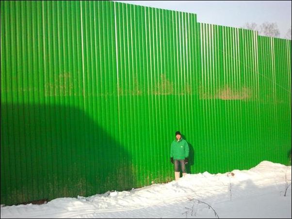 фото приколы