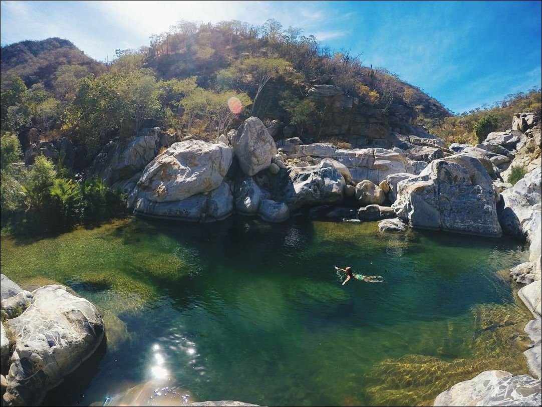 фото приколы