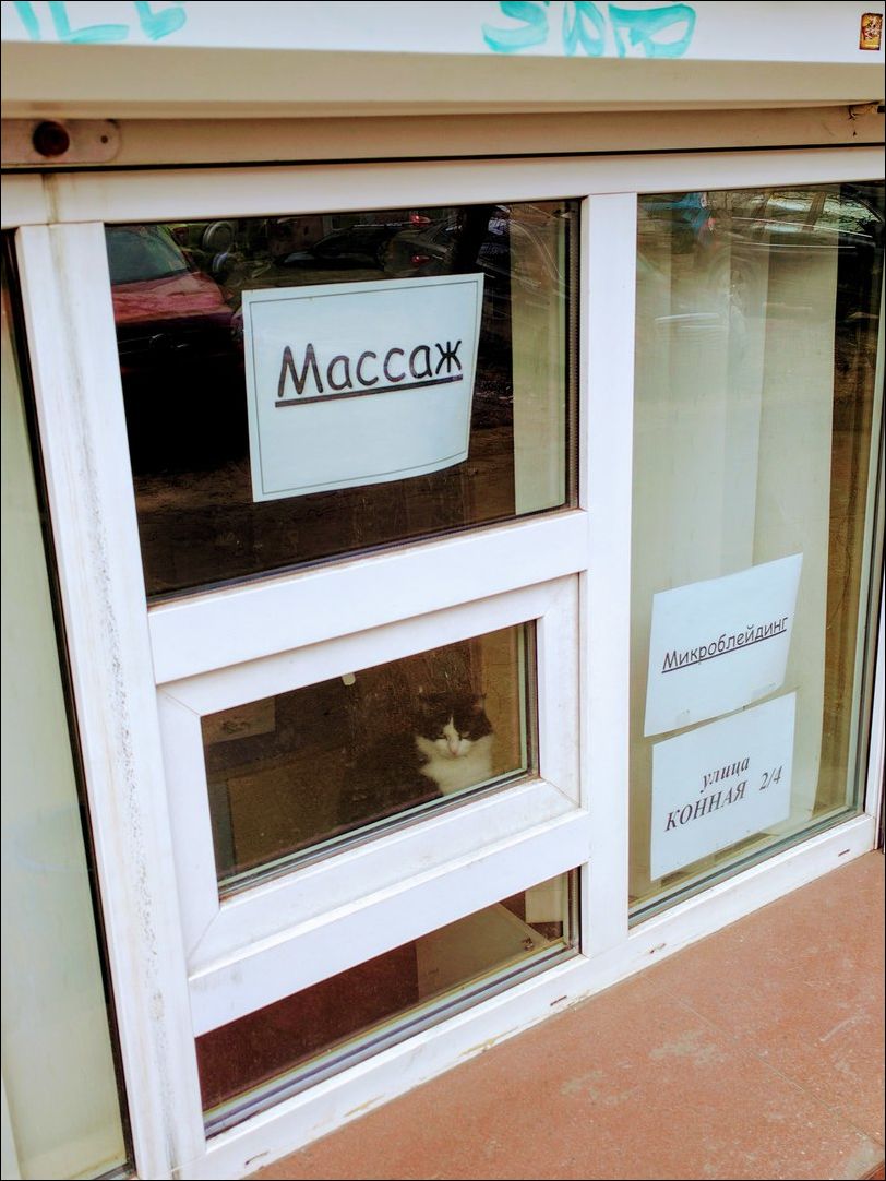 фото приколы