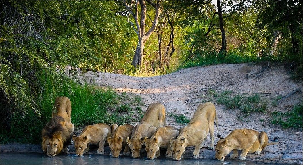 фото приколы