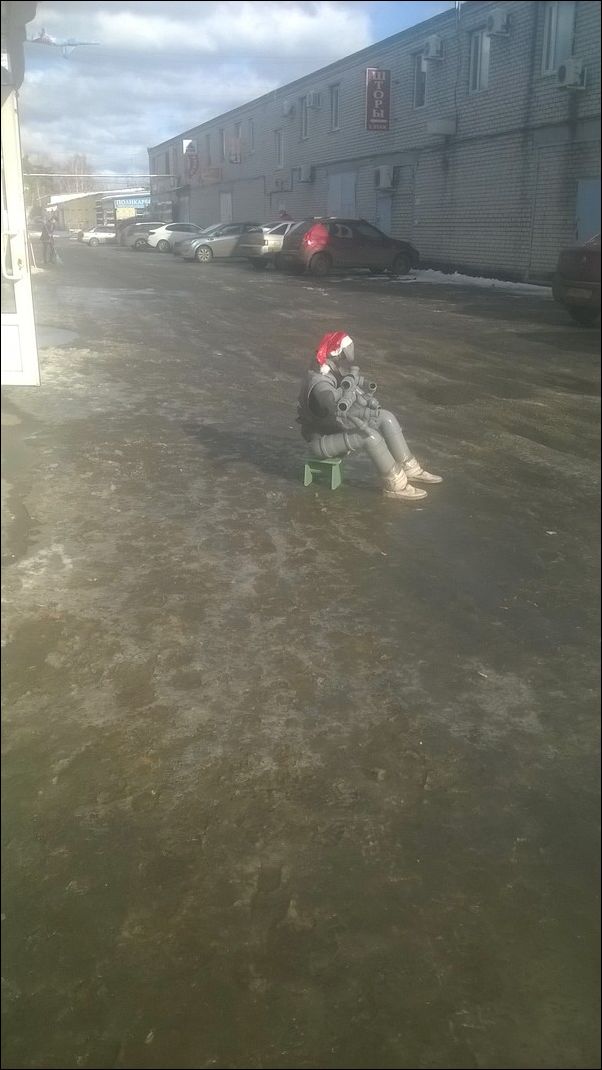 фото приколы