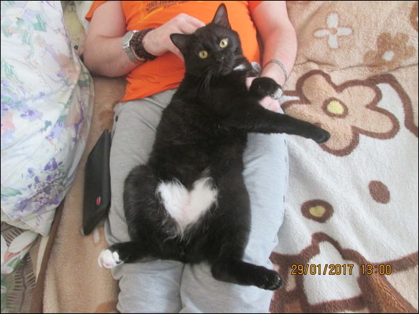 фото приколы