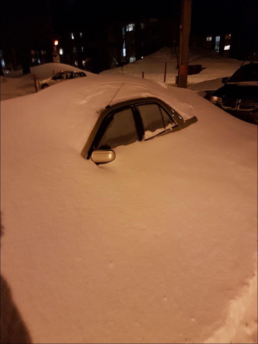 фото приколы