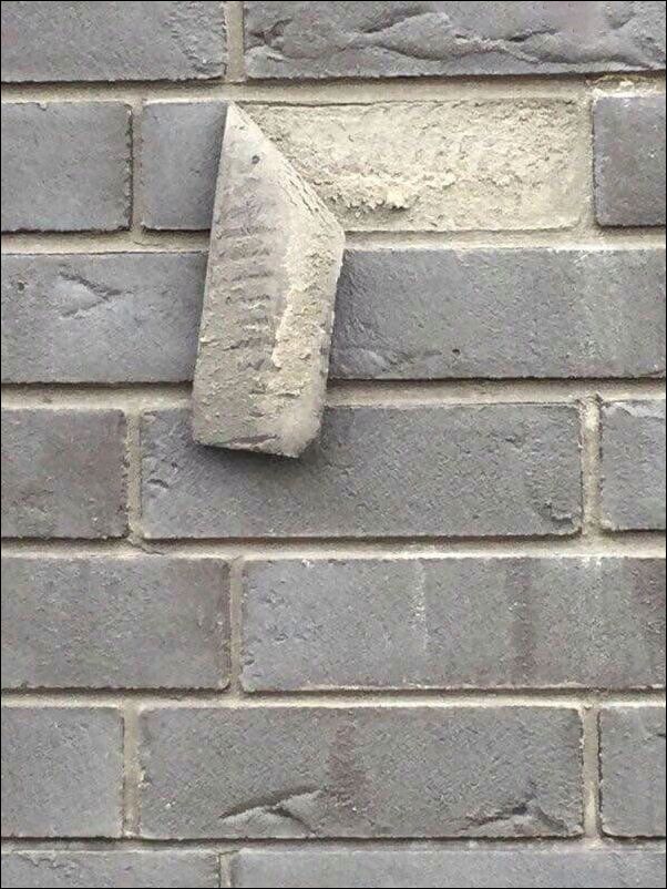 фото приколы