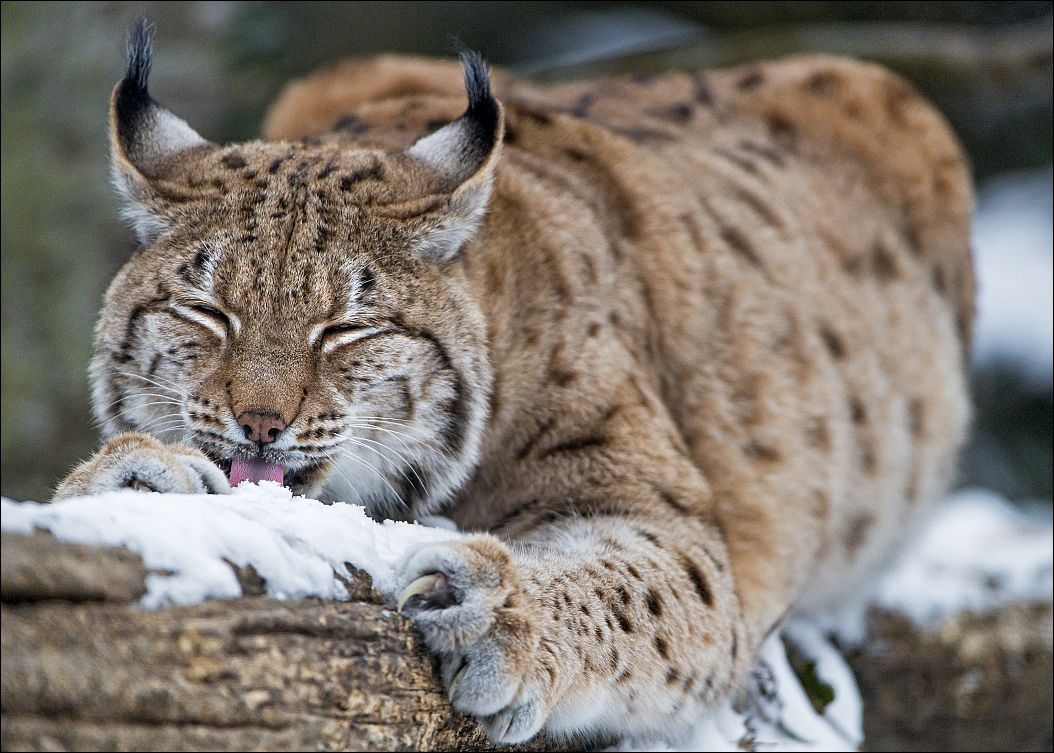 фото приколы