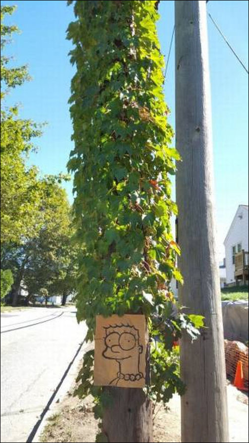 фото приколы