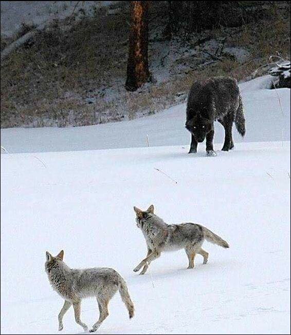 фото приколы