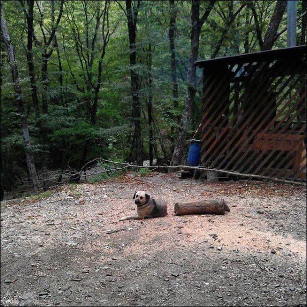 фото приколы