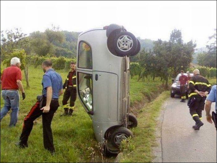 фото приколы