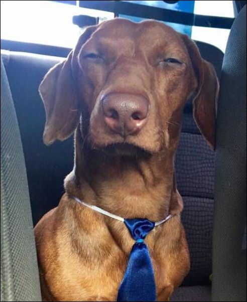 фото приколы