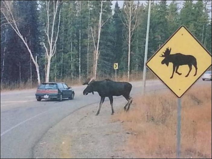 фото приколы