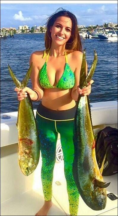 фото приколы