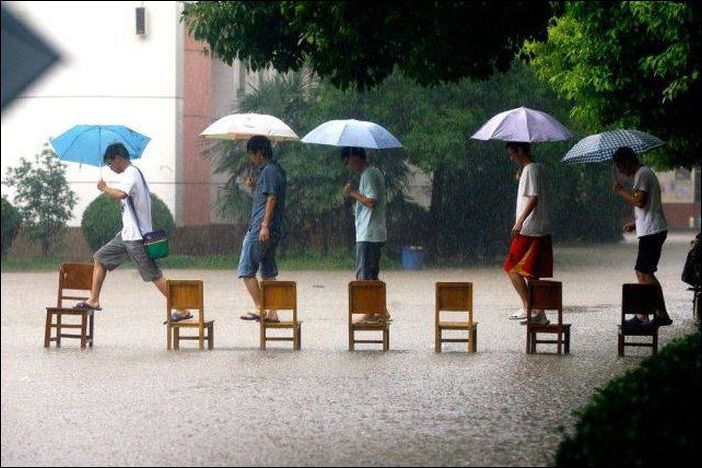 фото приколы