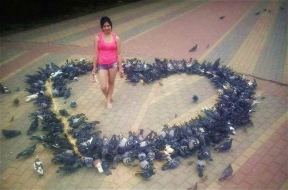 фото приколы