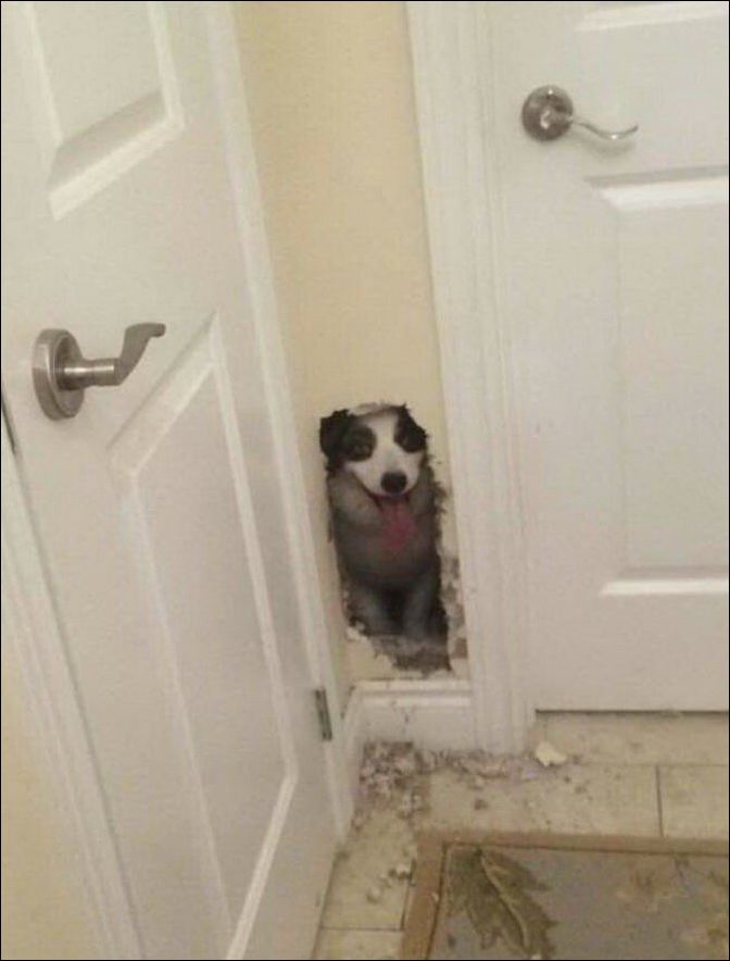 фото приколы