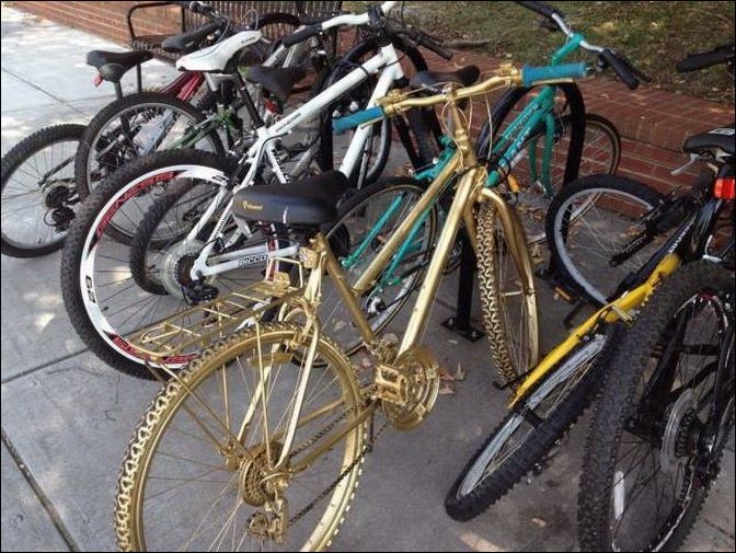 фото приколы