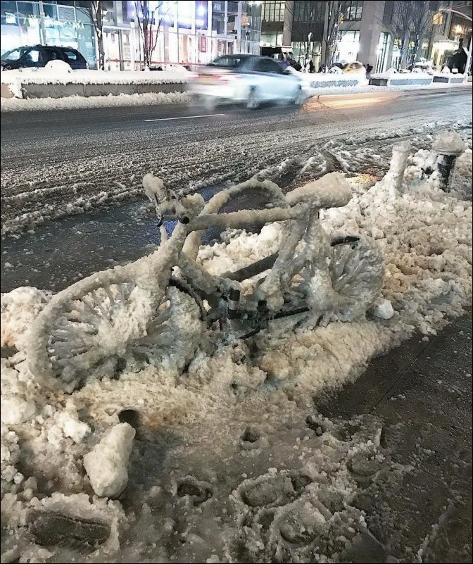 фото приколы