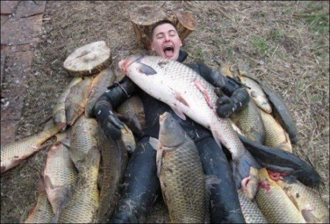 фото приколы