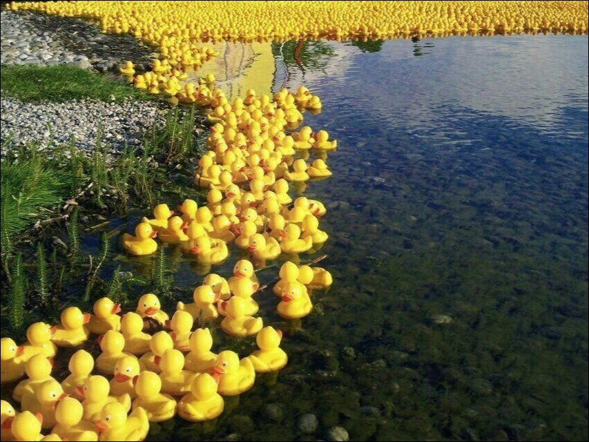 фотоприколы