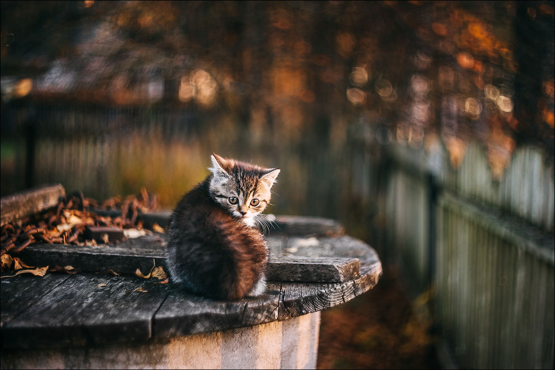 фотоприколы