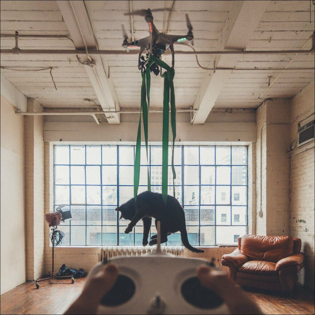 фотоприколы