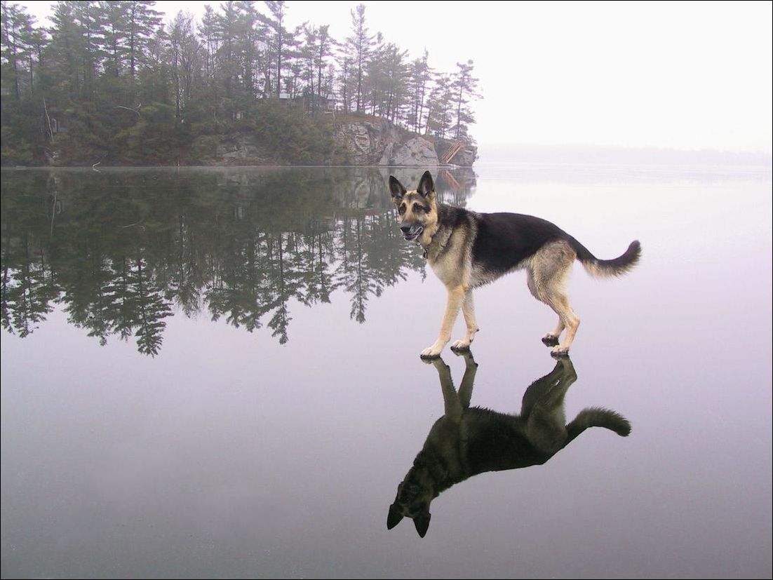 фотоприколы