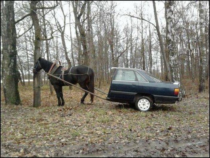 фотоприколы