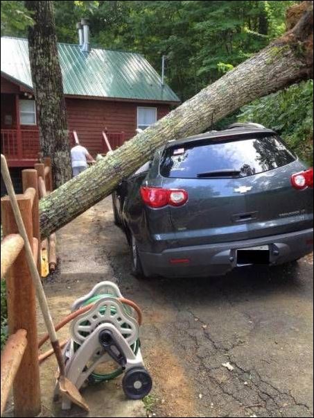 фотоприколы