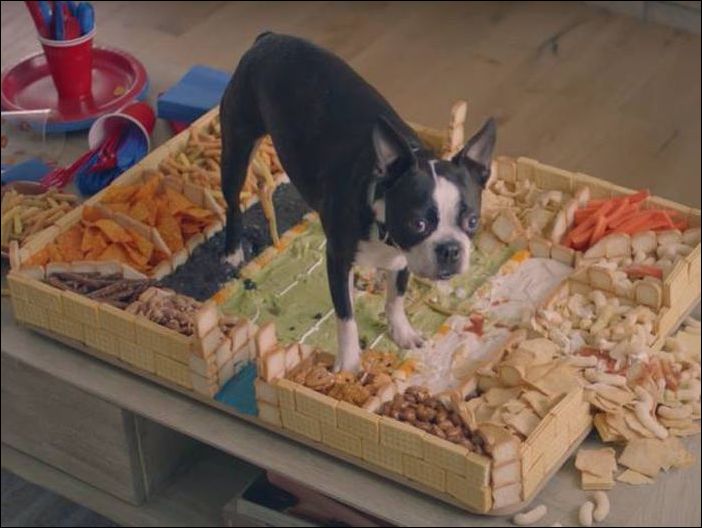 фотоприколы