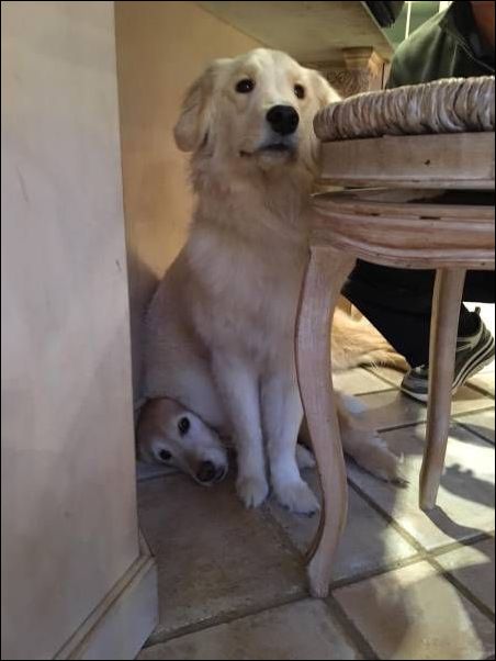 фотоприколы